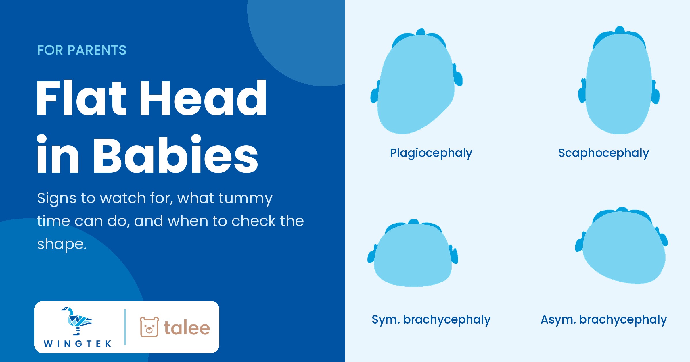 Flat head in babies: a parent's guide to head shape, tummy time and when to check, from WingTek Orthotics and Prosthetics