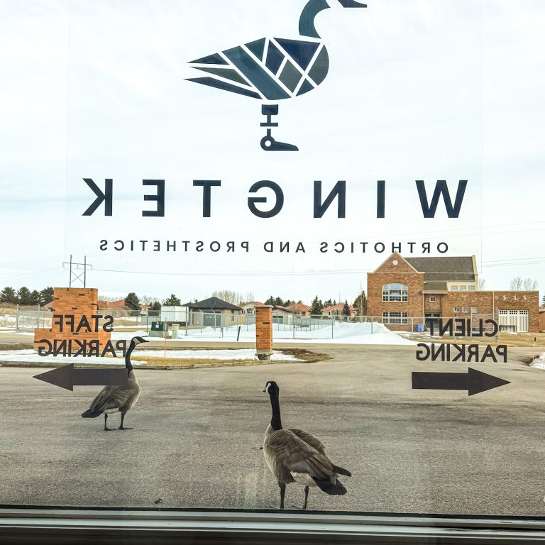 Goose_Wingtek_Wingtech_wing_orthotics_brace_bracing_regina