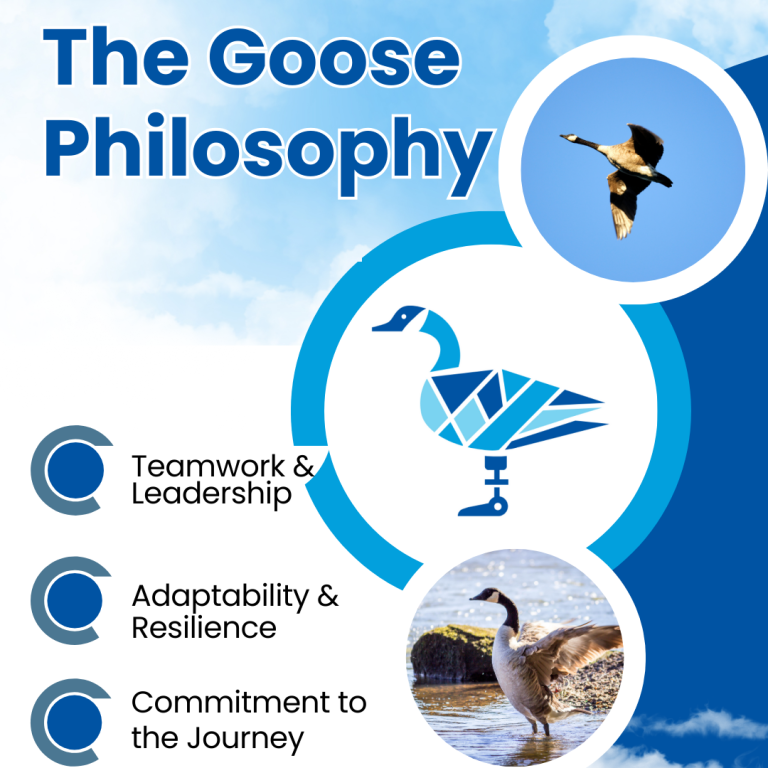 Why a goose